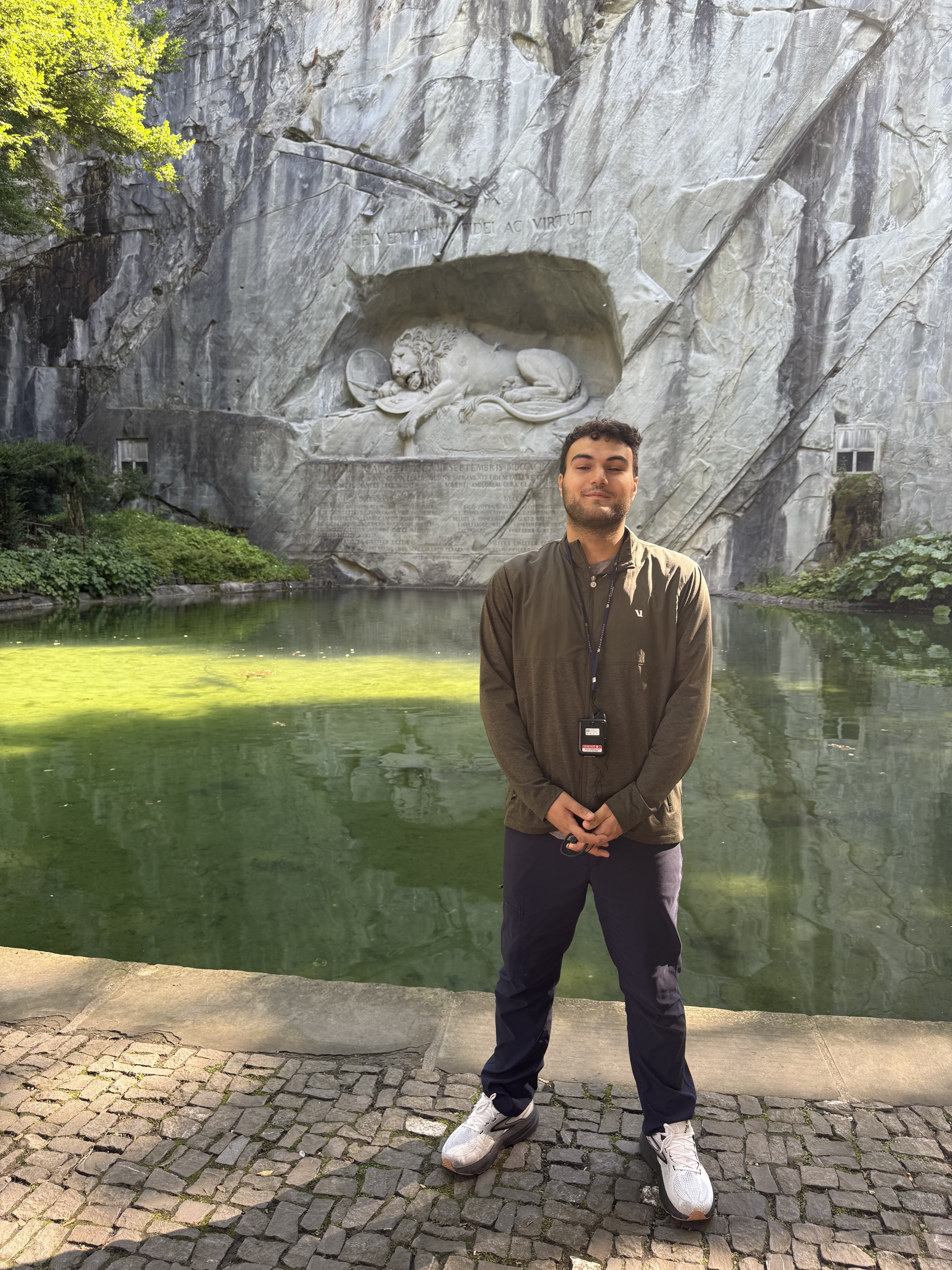 Lion statue