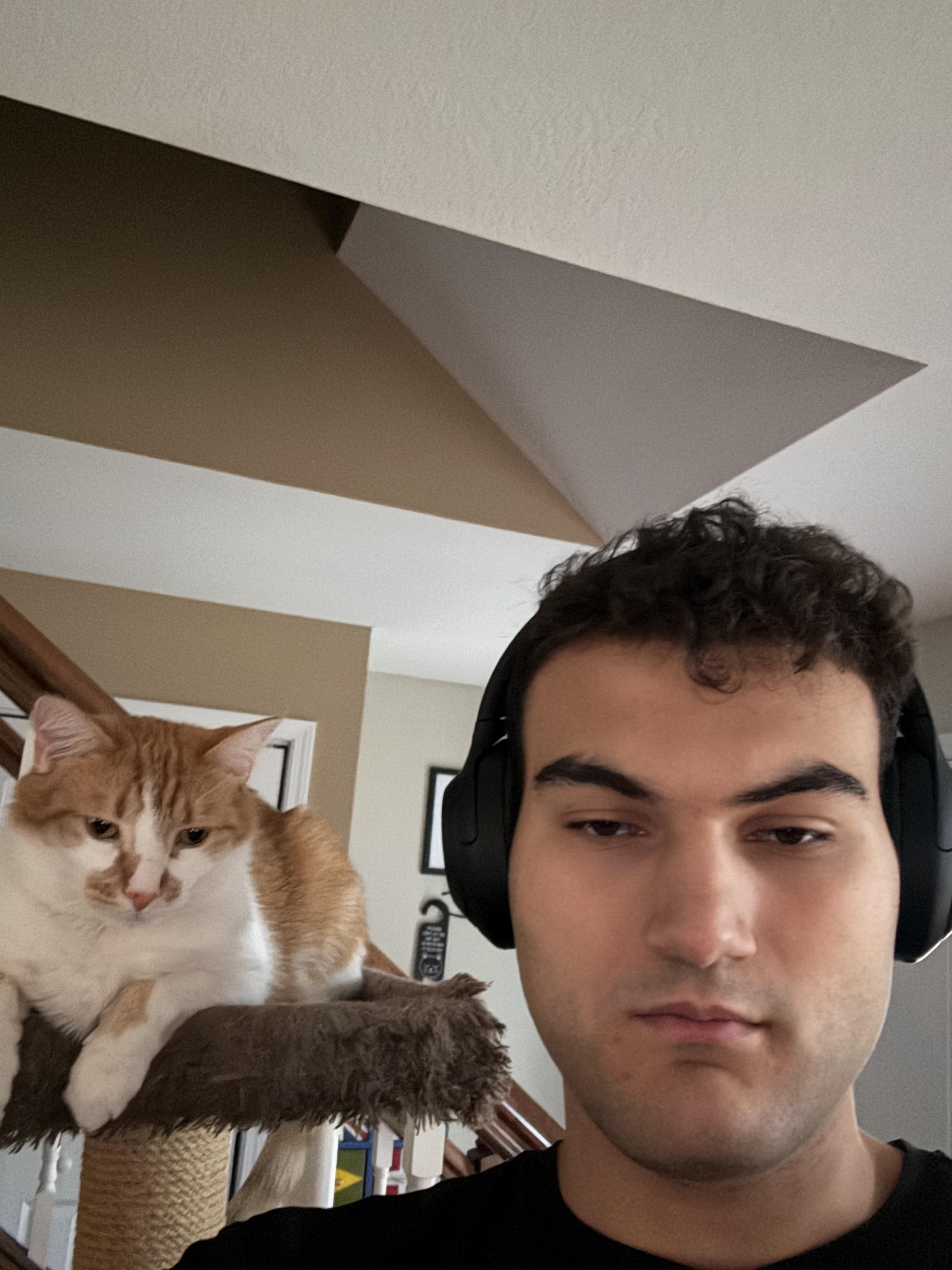 Me and my cat